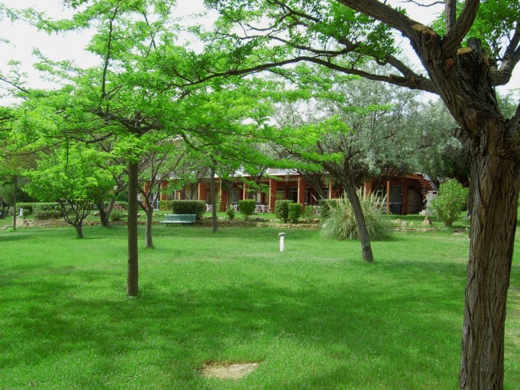 Ferienwohnung Le Domaine Des Oliviers Saint-Cyr-sur-Mer Exterior foto